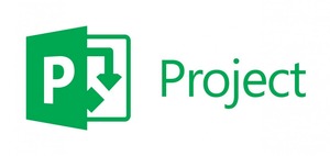 Project Online